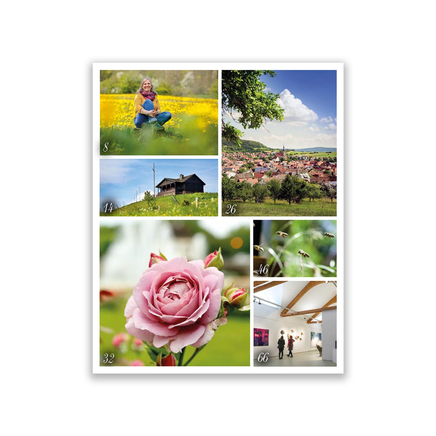 Rhön Magazin 2022 - Sommer