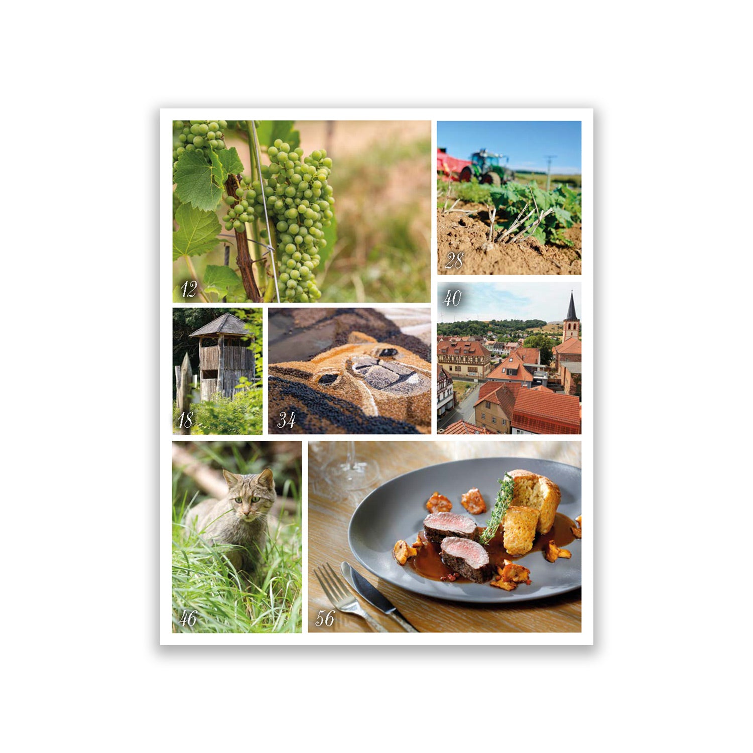 Rhön Magazin 2022 - Herbst