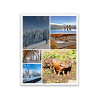 Rhön Magazin 2020 - Winter