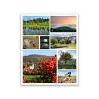 Rhön Magazin 2016 - Herbst