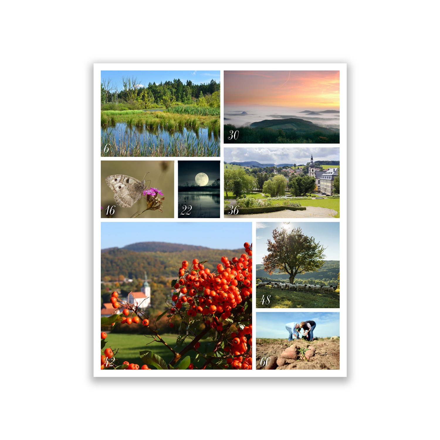 Rhön Magazin 2016 - Herbst