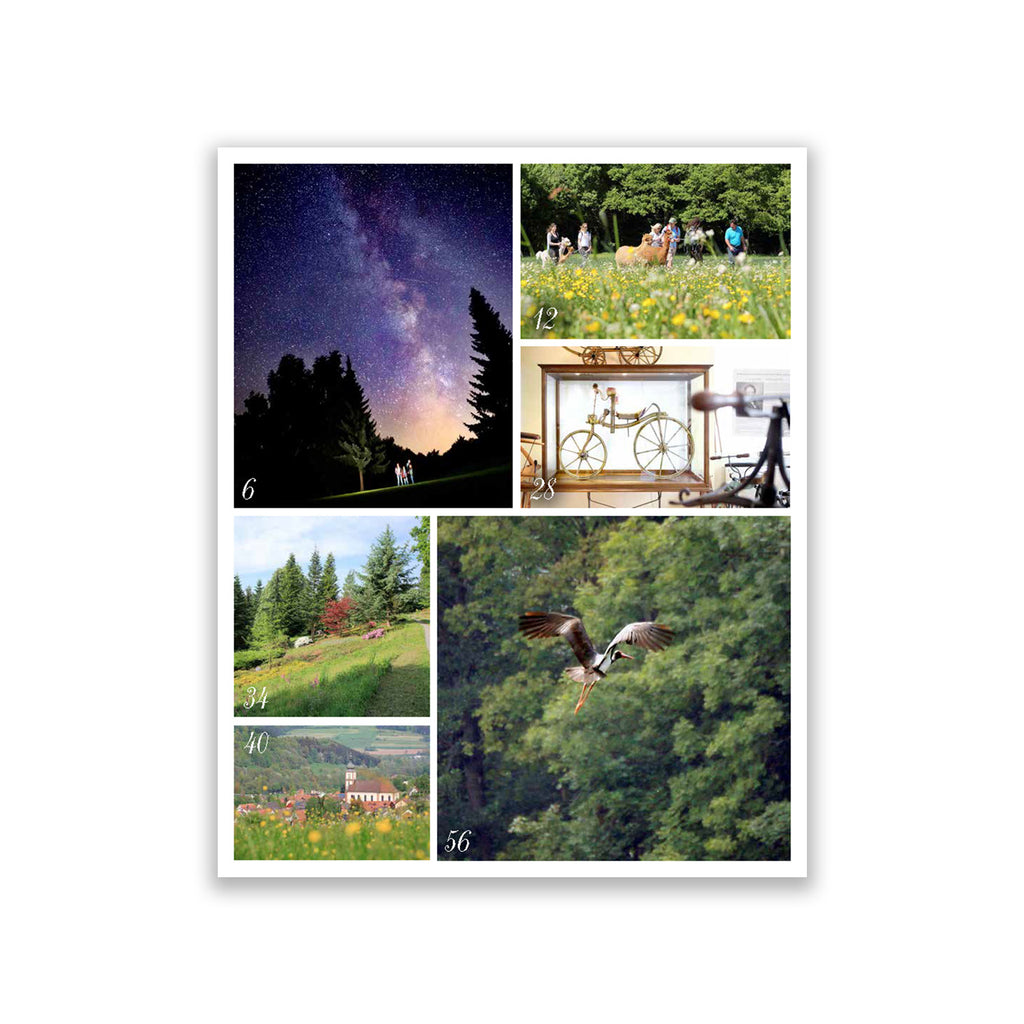 Rhön Magazin 2019 - Frühjahr