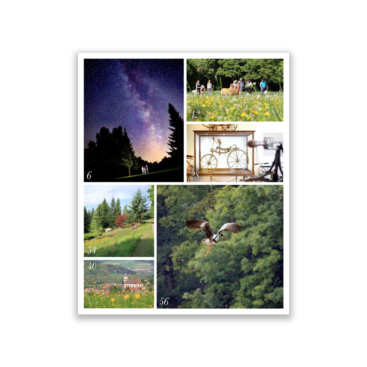 Rhön Magazin 2019 - Frühjahr