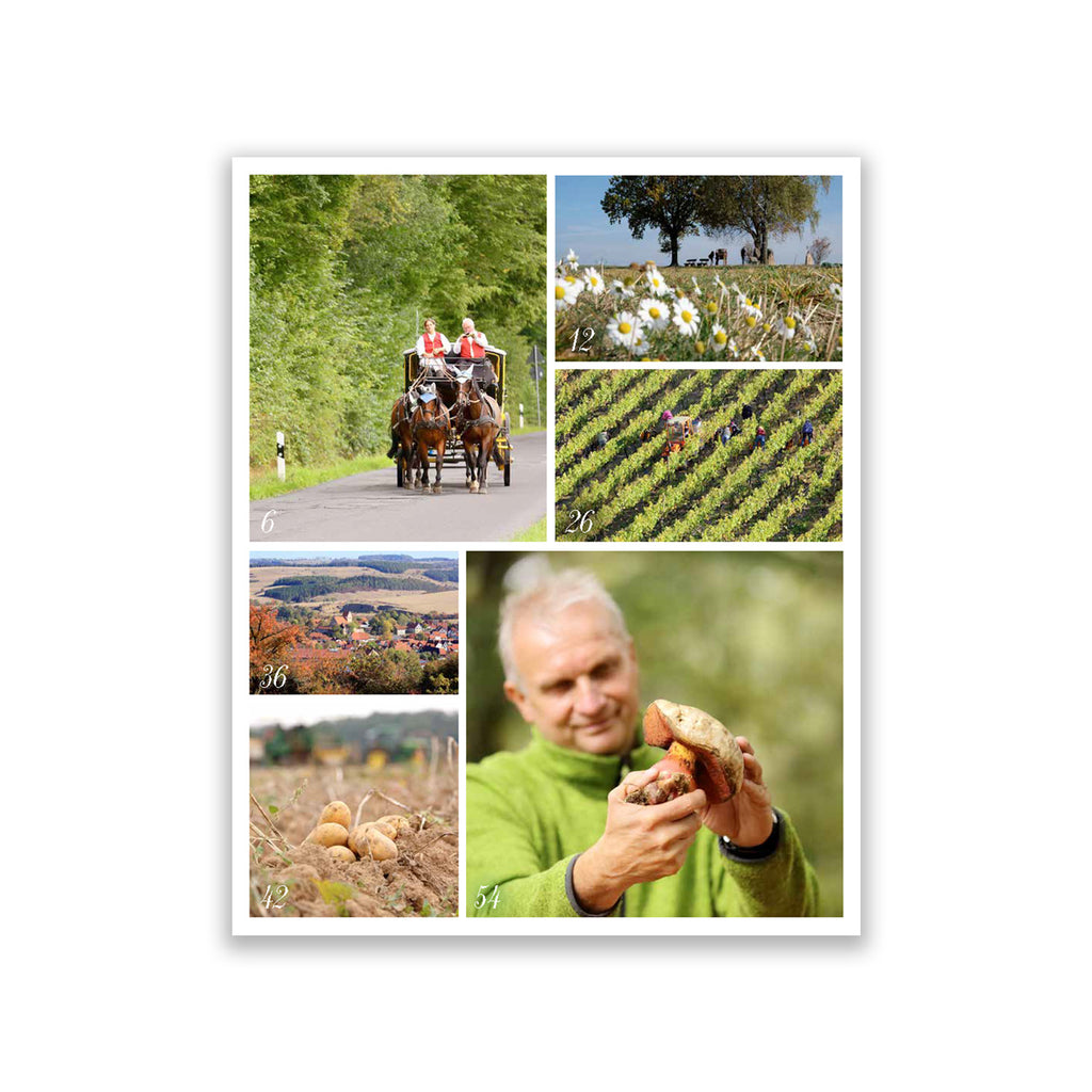 Rhön Magazin 2019 - Herbst