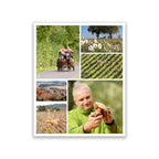 Rhön Magazin 2019 - Herbst