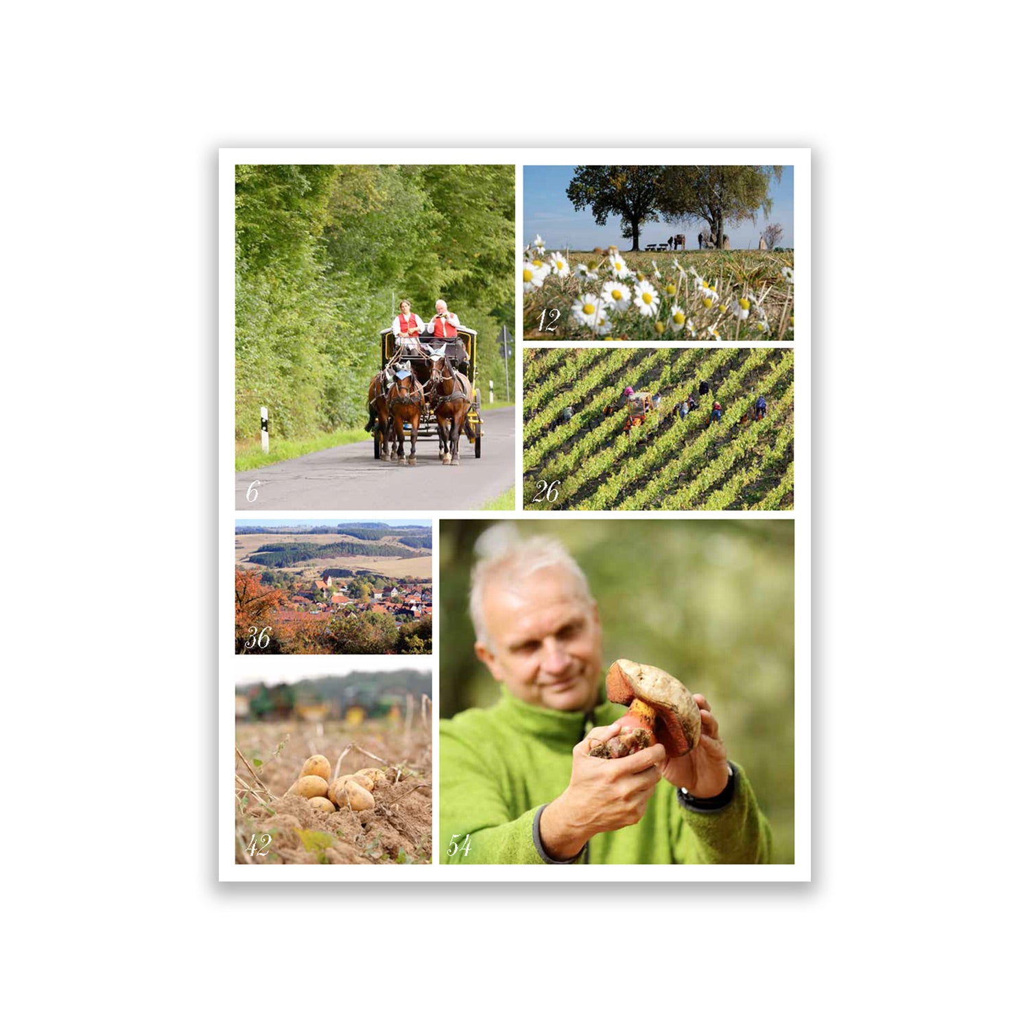 Rhön Magazin 2019 - Herbst