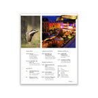 Rhön Magazin 2015 - Winter